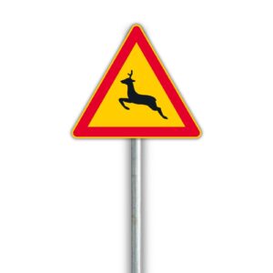A20.3 Kauriseläin – varoitusmerkki